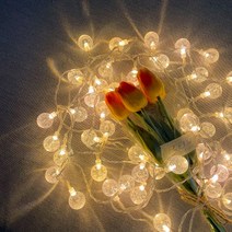 LED 앵두전구 방꾸미기 감성캠핑 루프탑 테라스 무드등 아이방 인테리어, 투명 건전지타입 [리모컨증정]