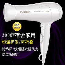무선드라이기 드라이기 FH-6232대출력 모텔 기숙사 여행 가정용 뜨겁고찬바람 항온 학생, T01-2000w뜨겁고찬바람 접이식 드라이기 6232