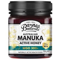 바네스내추럴스 호주 마누카 꿀 250g MGO 300+ Barnes Naturals Australian Manuka Honey, 1팩, 기본