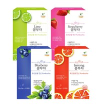 해피테라스 콤부차 탄산 빵빵 라임 스트로베리 블루베리 자몽 원액 키트 스코비 만들기 5gx15개입
