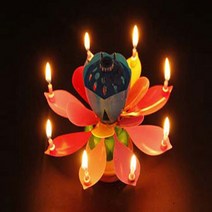 고급형 멜로디 연꽃초 특이한 생일초, 고급연꽃초(숫자토퍼포함)=레드