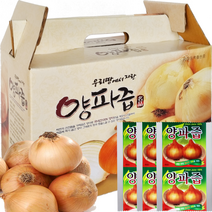 양파즙 1박스55포 [ 2박스구매시+20포증정(총130포) ], 55포, 100ml