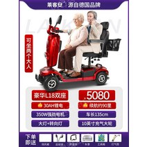 노인전동차 전동카 어르신 소형전기차, 24V, 2인승30Ah리튬배터리10인치 빅휠  350W