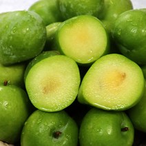 켈시자두 1kg(상) 경북 영천 청자두 고당도, 1kg상(12-15과내외)