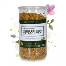 새싹보리씨앗 450g 밀폐용시밀통 정든팜 보리새싹, 상세페이지 참조, 상세페이지 참조