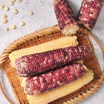 [산지발송]김동식님의 삶은 냉동 흑찰옥수수 8개입(4개씩 포장 13∼15cm), 삶은 냉동 흑찰옥수수 8개입