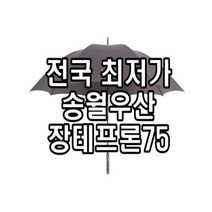 송월골프우산 가격