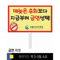 스쿨컴퍼니(도매가격 인쇄쇼핑몰) #83 금연 피켓 [피켓 포맥스피켓 손잡이피켓 학교피켓 예방교육 캠페인 홍보 피켓제작], 2. 손잡이 대형 60x45cm