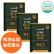 역가수치높은 효소 유산균 소화효소제 곡물 발효 탄수화물분해 지방 임산부 3g x 30포 3박스