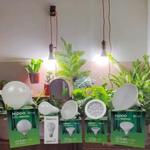 히포 LED 식물등 식물 램프 전구 조명 생장 성장 재배용 벌브 12W 빛쟁이조명, 01.벌브램프12W