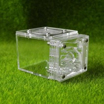 미니 개미집 개미 아크릴 개미 둥지 투명 개미 농장 독특한 할로윈 선물 6 색, 7.7x6x5.3cm, 황금