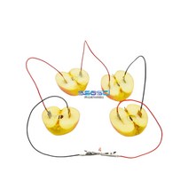 (HOL)과일 전지 LED 실험 세트