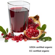 믹서기 분쇄기 usda 및 ec 인증 유기농 석류 주스 분말, 100g 3.53oz