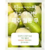 [국내산] 무 무우 제주무 월동무 저장무 겨울무, 제주월동무 1box
