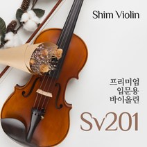 비젼 티타늄 솔로 바이올린, A+D+G
