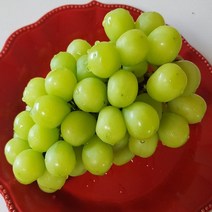 고당도 가정용 샤인머스켓 김천 샤인머스캣 망고포도 못난이 랜덤과, 선물용 최상품 샤인머스켓 2kg(3~4수)