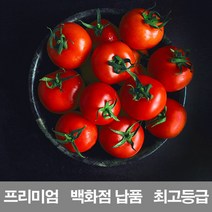 진코어 프리미엄 방울토마토 백화점 납품 4kg, 1개