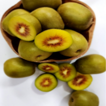 <20brix>달콤한 제주 고당도 레드키위 5kg, 대과(60과내외)” class=”wr-img”></a></div></p></div></p></div></p></div><div class=