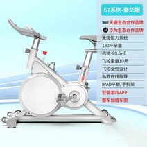 튼튼한 스피닝 자전거 실내 사이클 유산소 헬스 운동기구 홈트 좌식 바이크, 67디럭스화이트
