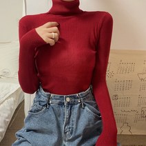 스팩트 아린 여성 니트 골지 목폴라 긴팔 티셔츠 15 color