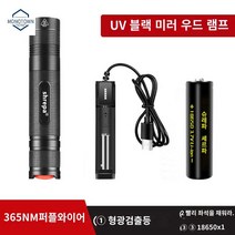 손전등 테스트 반려묘 측정기 곰팡이 자외선 램프 세균 감지, 365nm 자광 UV 블랙 미러 1전기 1충전