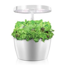 식물재배기 스마트팜 수경재배기 파종트레이 수경법 시스템 지능형 상자 성장 빛 Ecoo 재배자 실내 가정 정원 보육 냄비 를 위한 교육 완구, [01] British Standard