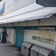 캐노픽스 550x9000 단독주택 상가 아파트 외부 출입구 주차장 차양 비가림 캐노피공사, 그린, 블랙, 은백색(기본색상)