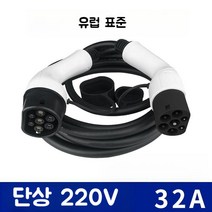 전기차 충전기 7핀 휴대용 케이블 충전케이블 커넥터, 220V(10m)