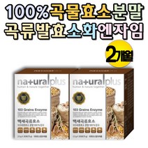 100% 곡류 효소 분말 엔자임 ENZYME 속더부룩할때 현미 율미 수수 결명자 소화효소 효소제 속편한 엔자임효소 엔자임 곡물 발효 효소 파우더