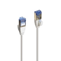FTP 랜케이블 1M CAT6A 초슬림 초고속 인터넷 선, 2개