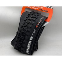리치ASSEGAI WT 타이어 27.5er 3C MaxxTerra EXO, 02 2pcs_01 29X2.50
