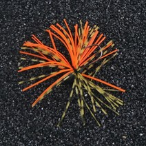 웜기어 감속기 실리콘 지그 헤드 후크 1 개 3 .. 5g 5.2g 소프트 루어 웜 미니 스커트 스피너 낚시 태클, [01] A, [01] 3.5g