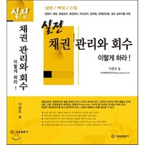 실전 채권 관리와 회수 이렇게 하라!, 법률출판사, 이충호 저