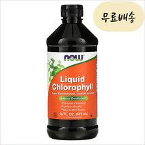 나우푸드 액상 리퀴드 엽록소 클로로필 Chlorophyll 내추럴 Mint 16 온즈 473ml, 1개