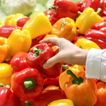 국내산 파프리카 빨강 노랑 혼합 못난이 가정용 특품 1kg 3kg 5kg, (빨강파프리카)5kg, 1개