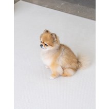 [러그140x180cm] 3장 디팡 소형견 중대형견 펫플레이 강아지매트 미끄럼방지 4mm, 젤리그레이 3장, 7mm 러그(중대형견용)