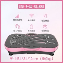 전신 덜덜이 음파 쉐이크 운동기구 홈트 다이어트 음파진동기 기구 뱃살, B타입/업그레이드/로즈핑크/199단/무선리모컨