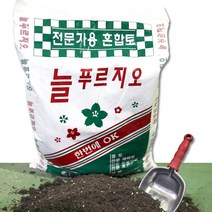 전문가용 대용량 분갈이 바가지삽세트 _A9317ea, 본상품선택