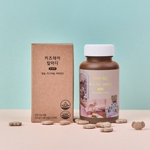 베러데이 어린이 멀티 비타민 츄어블 종합 영양제 키즈데이 칼마디(초코맛), 120정, 2박스