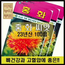 23년산 국산 홍화 씨앗 100립- 약용식물 꽃씨