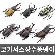 코카서스장수풍뎅이 오각뿔장수풍뎅이 집꾸미기 세트, 2. 큰 딱정벌레 3개 세트