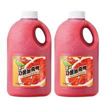 흥국에프앤비 자몽 농축액 1.5L 2개