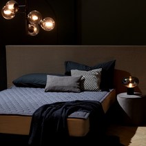 셀리온 인공지능 DC 카본 탄소매트(퀸), 노블그레이