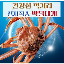 [예님푸드] 제철수산물 구룡포 산지직송 박달대게 중 1마리(생물), 단품