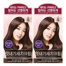 AP 려 우아채 멋내기 새치크림 4N 짙은갈색x2개 /염색