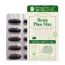 식약처인증 포스파티딜세린 뇌 두뇌 수험생 영양제 기억력 인지력 개선 징코 은행잎 추출물 혈액순환 건강기능식품, 브레인 포스파티딜세린 1개