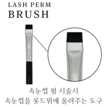 BRUSH 속눈썹펌 블러쉬 속눈썹펌브러쉬 틴팅브러쉬 1개, TYPE1