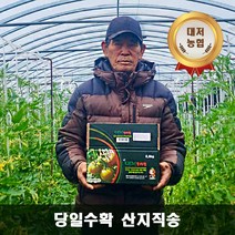 특품 고당도 후숙 숙성 대저 짭짤이 토마토 2.5kg, 부산 대저 짭짤이 토마토 M 중과 2.5kg