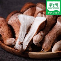 나주 무농약 참송이 송이 버섯 700g 1kg 산지직송, 특품_700g 선물세트