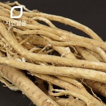 자연닮음 국산 제천 황기 통 300g